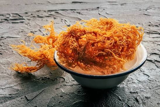 Sea Moss for Kids | Is It Safe? Dosage & Recipes