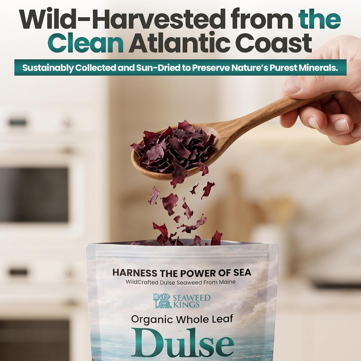 Atlantic Dulse Whole Leaf – 100% Organic Wildcrafted Dulse Leaf | Sourced from Maine (Bulk Options Available)