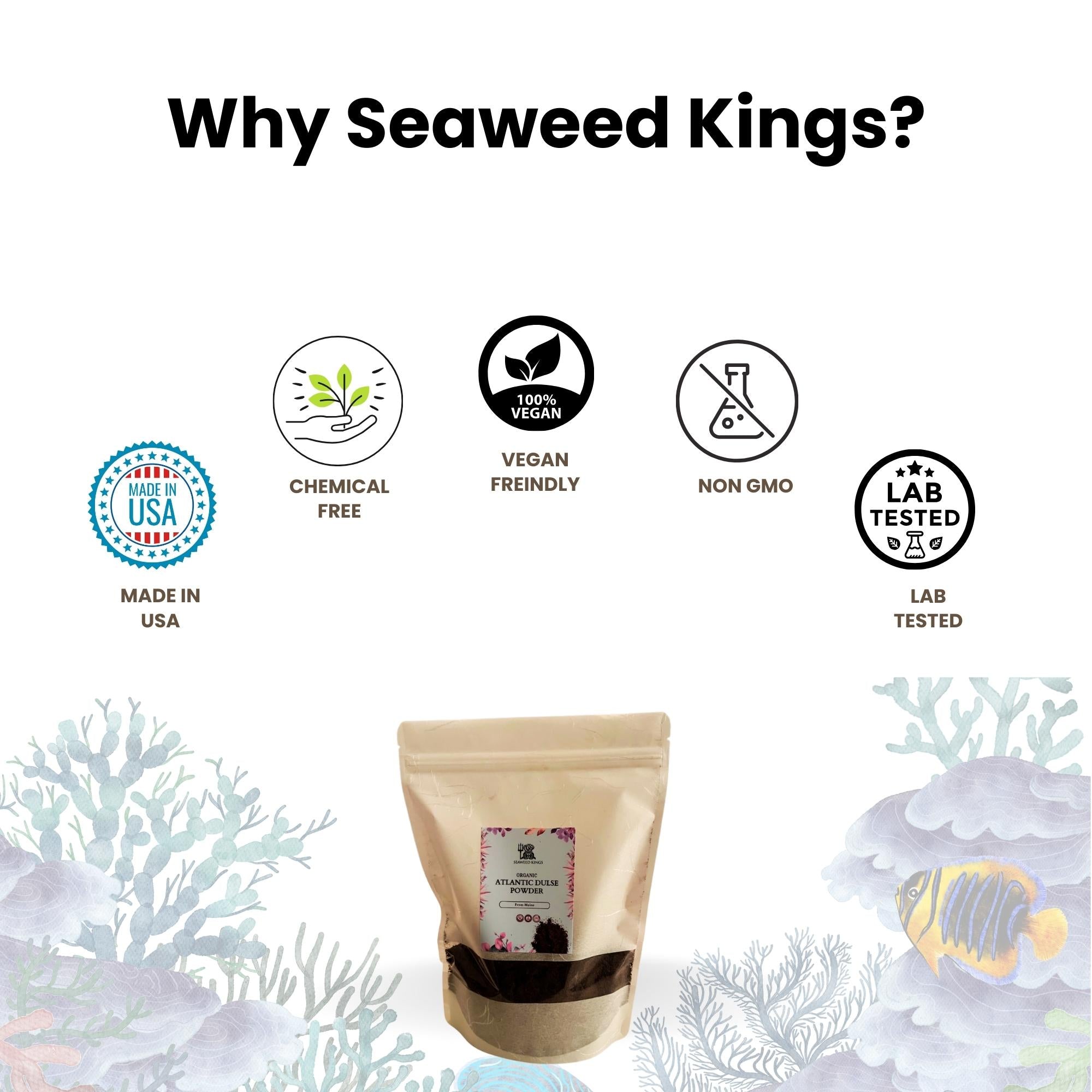Atlantic Dulse Powder – 100% Pure Organic Dulse Powder | Wildcrafted Dulse Seaweed Powder from Maine