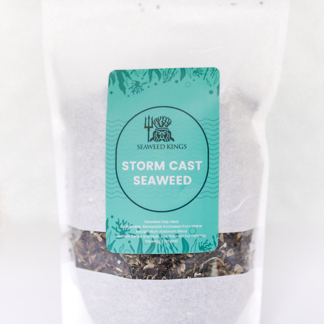 Storm Cast Seaweed Kelp Meal Fertilizer