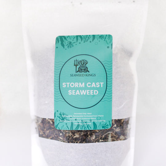 Storm Cast Seaweed Kelp Meal Fertilizer