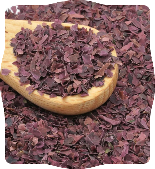 Atlantic Dulse Flakes – 100% Organic Dulse Seaweed Flakes | Wildcrafted from Maine