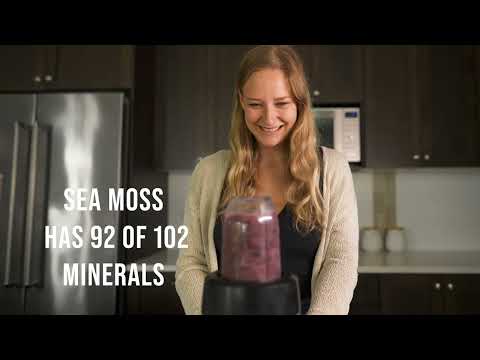 Wildcrafted Purple Sea Moss – 100% Organic Purple Sea Moss | Sun-Dried & Mineral Rich Raw Seaweed